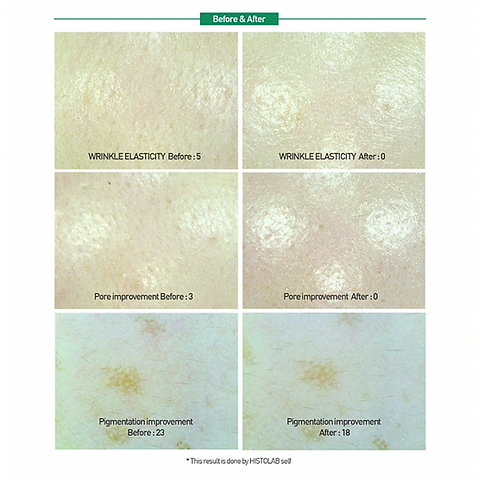 HISTOLAB | Centella Green Cream